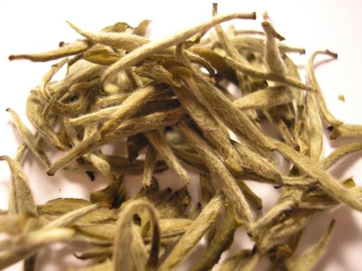 White tea White tea