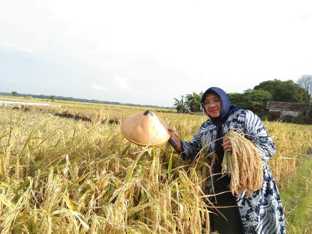 Mardiana Indraswati Mardiana Indraswati