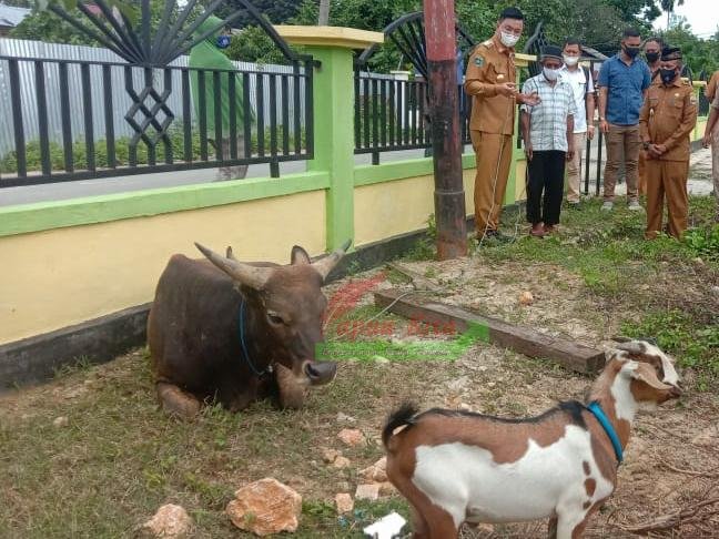 Bupati Freddy Thie didampingi Wakil Bupati Hasbulla Furuada saat menyerahkan bantuan hewan kurban kepada pengurus Masjid Nurul Huda Kampung Coa 1