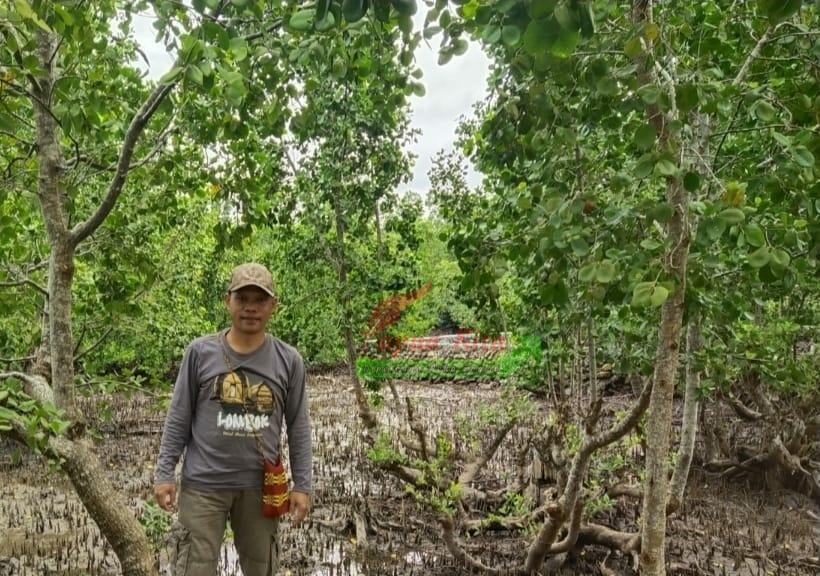 Kepala Bidang Pengendalian Pencemaran, Kerusakan Lingkungan Hidup dan Keanekaragaman Hayati, Dinas Lingkungan Hidup dan Pertanahan Kabupaten Manokwari, Yohanes Ada’ Lebang