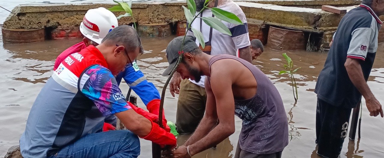 Executive General Manager Pertamina Patra Niaga Regional Papua Maluku Sunardi bersama jajaran Tim Manajemen Pertamina Patra Niaga Regional Papua Maluku yang diikuti masyarakat menanam bibit mangrove di Pantai Batu Licin, Jayapura