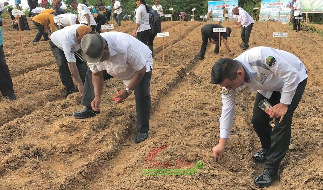 Pencanangan penanaman jagung seluas 1 hektar di Kabupaten Kaimana oleh Pj. Gubernur Alibaham Temongmere