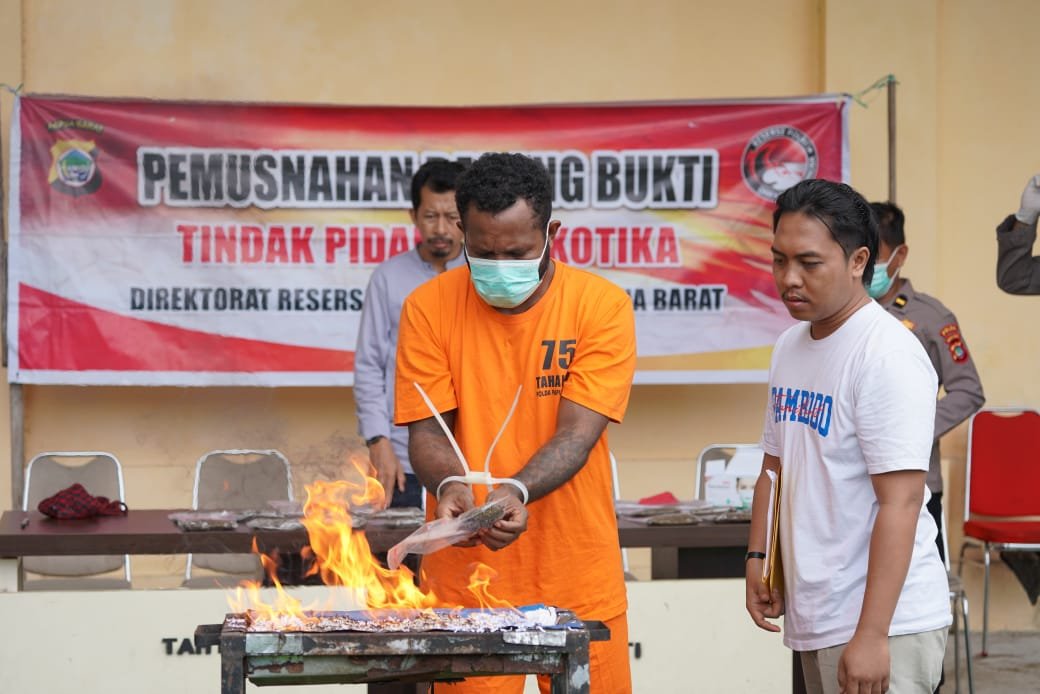 Salah seorang tersangka kasus penyalahgunaan narkotika didampingi anggota Ditresnarkoba Polda PB tampak memusnakah barang bukti berupa ganja